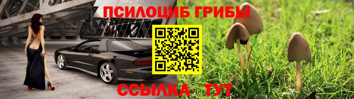 Псилоцибиновые грибы мицелий Новоалтайск