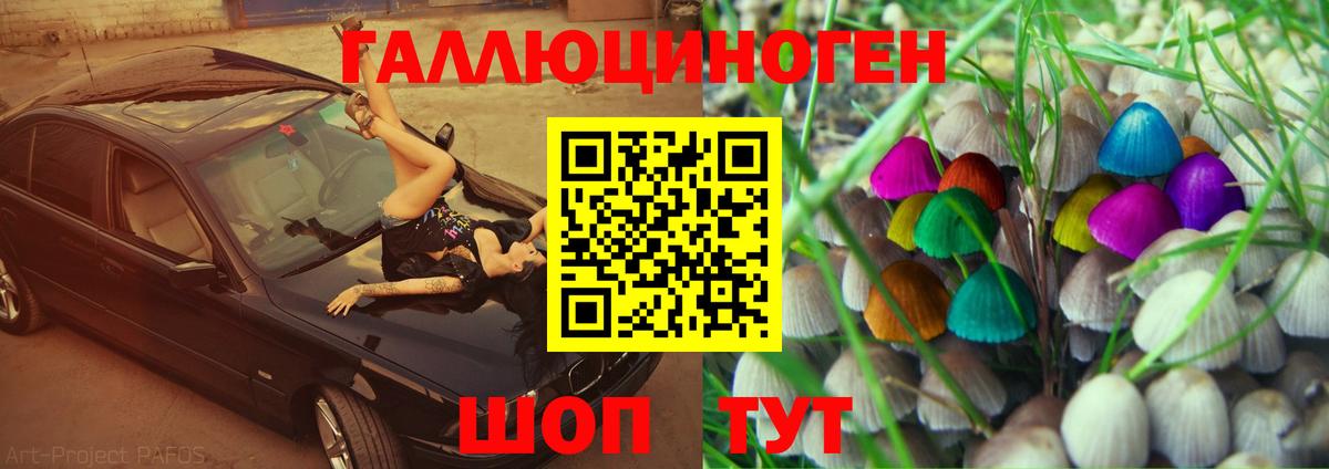 Галлюциногенные грибы MAGIC MUSHROOMS  Вход с VPN  Новоалтайск 